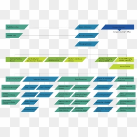 Organization Chart For Design Company, HD Png Download - dividing line png
