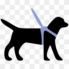Guide Dog Service Dog Clip Art - Guide Dog Clipart, HD Png Download - puppy clipart png