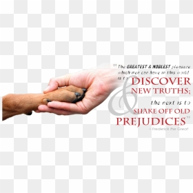 Shaking Hands With Quote, HD Png Download - pitbull dog png