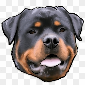 48 Why Are You A Rottweiler - Rottweiler Temperament, HD Png Download - rottweiler png