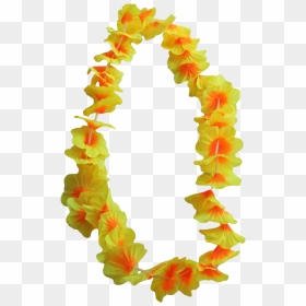 12 X Hawaiian Flower Leis Assorted Luau Beach Lei Party - Hawaiian Leis Png, Transparent Png - lei png