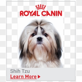Royal Canin Breed Specific Shih Tzu Food - Royal Canin For Beagle Puppy, HD Png Download - shih tzu png