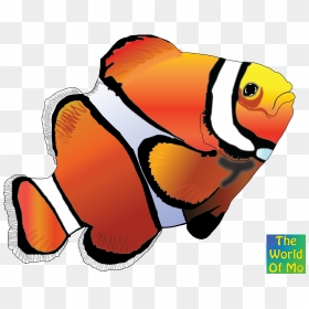 Clown Fish 2 Color Clipart , Png Download, Transparent Png - clown fish png