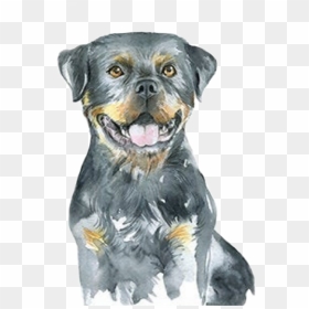 #watercolor #puppy #dog #rottweiler #babyanimals #farmanimals - Rottweiler Watercolor, HD Png Download - rottweiler png