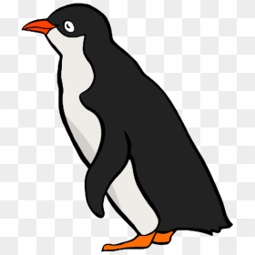 Penguin Graphics Png - Cartoon Penguin, Transparent Png - bird vector png