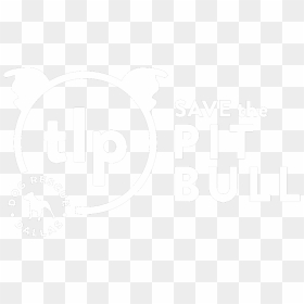 Picture - Antares Mdp Güemes, HD Png Download - pitbull dog png