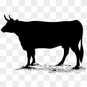 Silueta De Vaca, HD Png Download - cow silhouette png