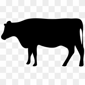 Beef Cattle Dairy Farming Livestock Dairy Cattle - Cattle Icon, HD Png Download - cow silhouette png