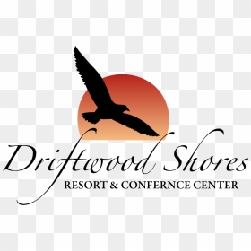Driftwood Png, Transparent Png - driftwood png