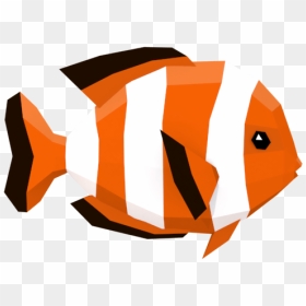 Coral Reef Fish, HD Png Download - clown fish png