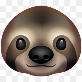 Sloth Head Emoji Awake Big - Portable Network Graphics, HD Png Download - bear face png