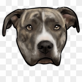American Staffordshire Terrier Dog Face Png, Transparent Png - pitbull dog png