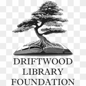 Driftwood Library Foundation - Sick Kids Logo Png, Transparent Png - driftwood png