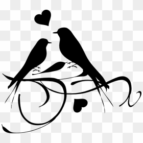Love Birds Black And White, HD Png Download - bird vector png