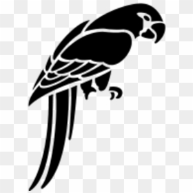 Parrot Bird Vector Clipart - Parrot Stencil, HD Png Download - bird vector png