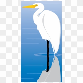 Egret Bird Vector Clip Art - Great Egret, HD Png Download - bird vector png
