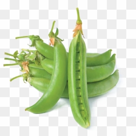 Pea Png Hd Quality - Snap Pea, Transparent Png - pea png
