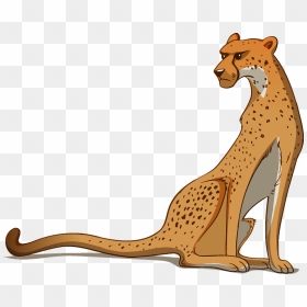 Cheetah Clipart - Kangaroo, HD Png Download - cheetah print png
