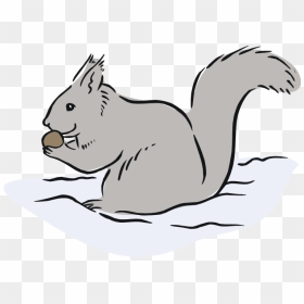 Free Gray Squirrel Cliparts, Download Free Clip Art, - Gray Squirrel Clipart, HD Png Download - squirrel clipart png