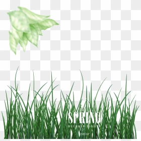 Green Euclidean Vector - New Bagraund Png, Transparent Png - grass background png