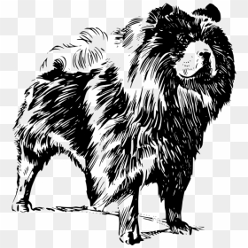 Chow Chow Dog Vector Image - Chow Chow Dog Vector, HD Png Download - dog vector png