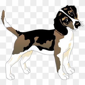 Beagle Clipart Black And White, HD Png Download - dog vector png