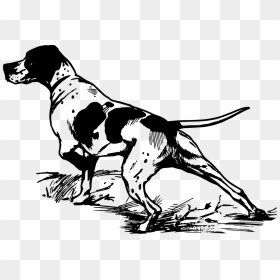 Transparent Dalmatians Clipart - German Shorthaired Pointer Svg, HD Png Download - dog vector png