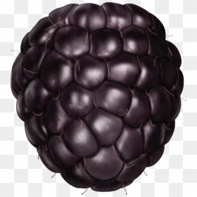 Blackberry Png, Transparent Png - blackberry png