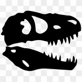 Dinosaur Skull X-ray - Pangaea Land Of Dinosaurs, HD Png Download - skull vector png