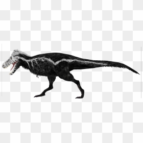 Tiranossauro Rex Sem Fundo, HD Png Download - vhv