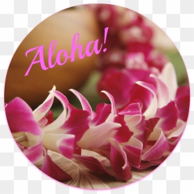I Assume You Know What A Lei Is - Hawaiian Lei Flowers Wedding, HD Png Download - lei png