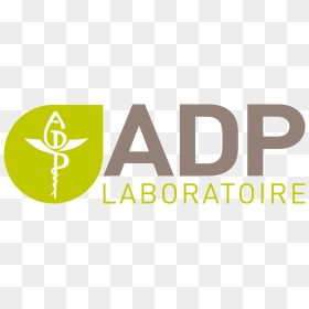 Carr Workplaces Logo , Png Download - Adp Laboratoire Logo, Transparent Png - adp logo png