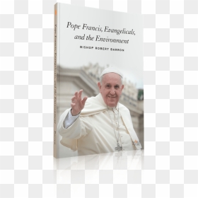 In This Free Ebook, Bishop Barron Reflects On Why So - Pope Francis Statement About Lgbt, HD Png Download - pope francis png