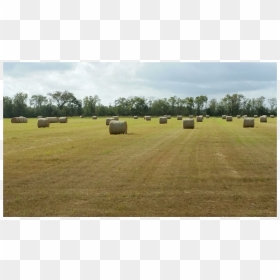 Field, HD Png Download - hay bale png