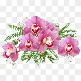 Pink Orchid Flower Png, Transparent Png - orchids png