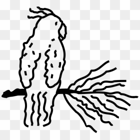 Illustration, HD Png Download - bird vector png