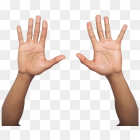 Transparent Hands Up Png - Two Hands Up Png, Png Download - hands up png