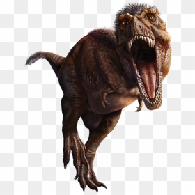 Newimage - American Museum Of Natural History, HD Png Download - tyrannosaurus rex png