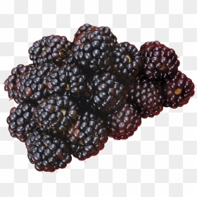 Blackberry Png, Transparent Png - blackberry png