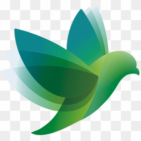 Transparent Bird Vector Png - Vector Graphics, Png Download - bird vector png