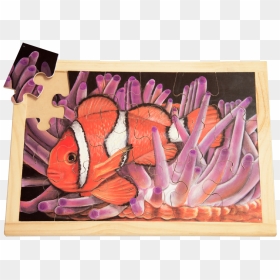 Red Onion, HD Png Download - clown fish png