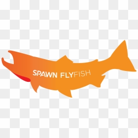 Spawn Fly Fish, HD Png Download - realistic dripping blood png