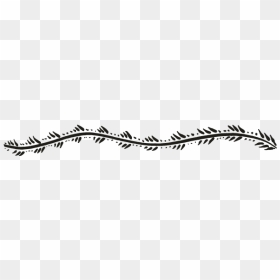 Monochrome, HD Png Download - barbed wire border png
