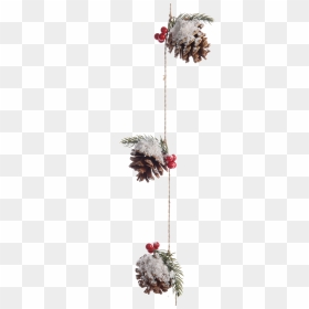 Pinecone Garland With Berries And Snow - Oregon Pine, HD Png Download - pinecone png