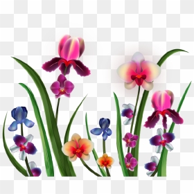 Png Клипарт "realistic Vector Delicate Orchids - Clip Art, Transparent Png - orchids png