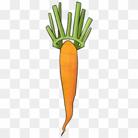 Illustration Of A Carrot With A Leaf Crown - Carrot Crown, HD Png Download - leaf crown png