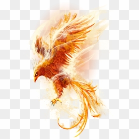 Phoenix Reborn , Png Download - Phoenix Print On Metal, Transparent Png - pheonix png