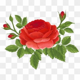 Rose Bud Png, Transparent Png - rose bud png