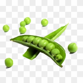 Pea Transparent Free Png - Single Pictures Of Vegetables, Png Download - pea png