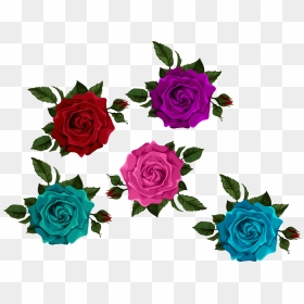 Colorful Roses With Transparent Transparent Background - Transparent Colorful Roses, HD Png Download - rose bud png
